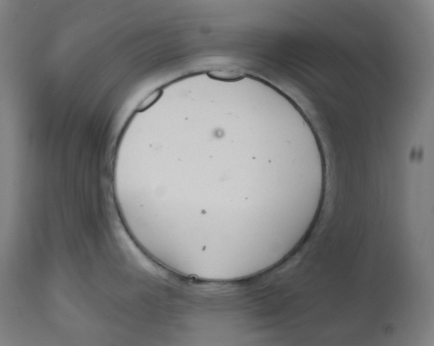 X0000112721392200909171054