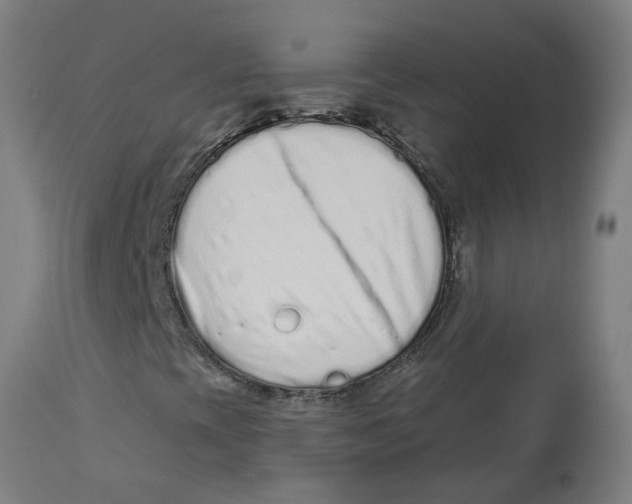 X0000112721393200909171054