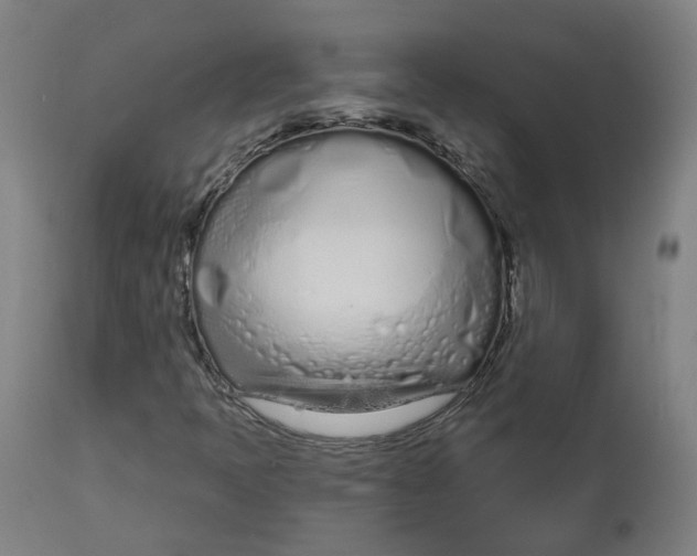 X0000112721397200909171054