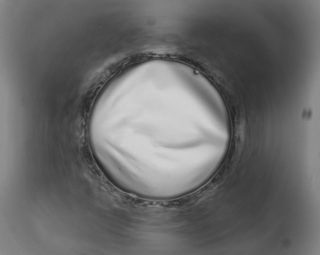 X0000112721398200909171054