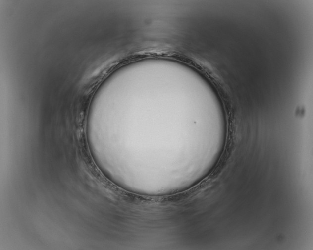 X0000112721399200909171054