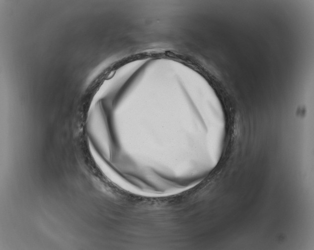 X0000112721400200909171054