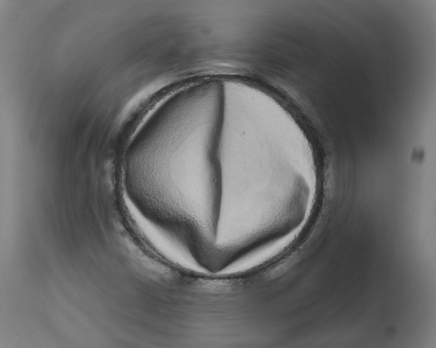 X0000112721402200909171054