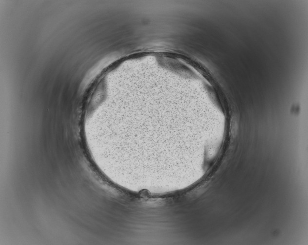 X0000112721410200909171054