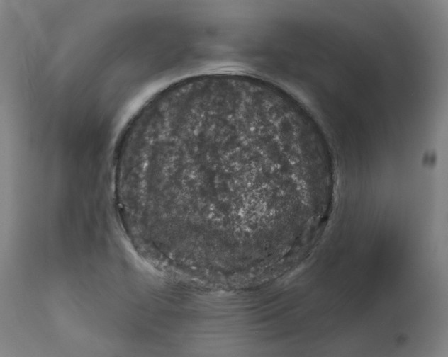 X0000112721414200909171054