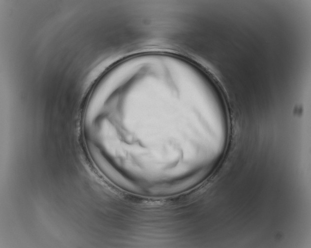 X0000112721415200909171054