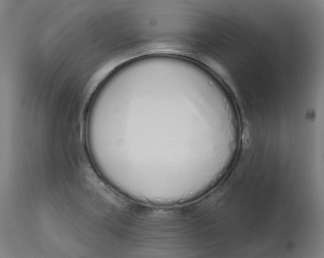 X0000112721419200909171054