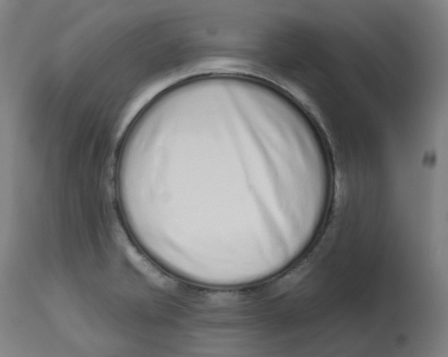 X0000112721421200909171054