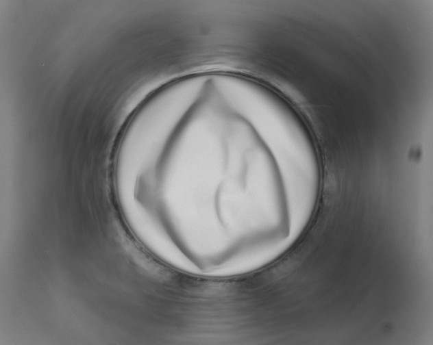 X0000112721423200909171054