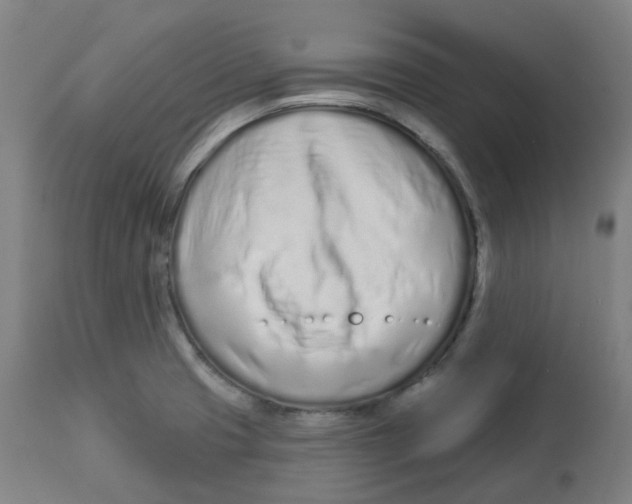 X0000112721425200909171054