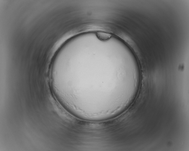 X0000112721427200909171054