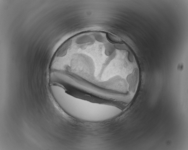 X0000112721428200909171054