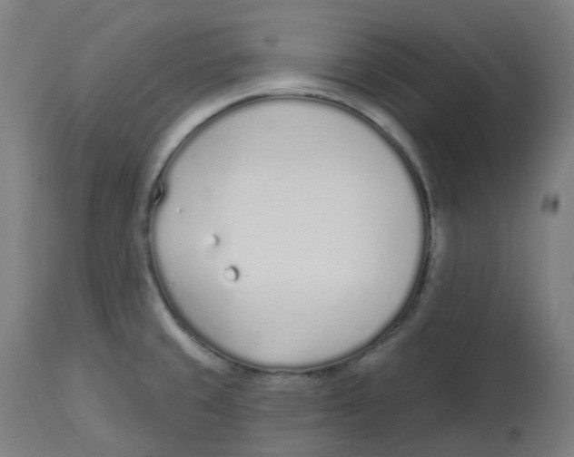 X0000112721429200909171054