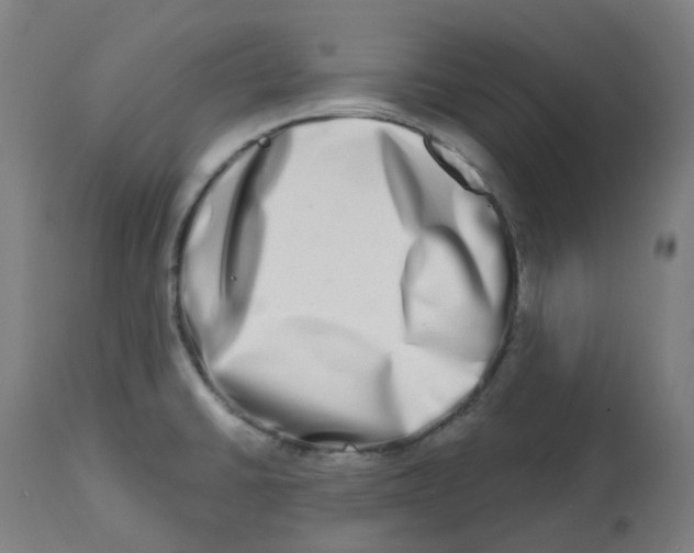 X0000112721430200909171054