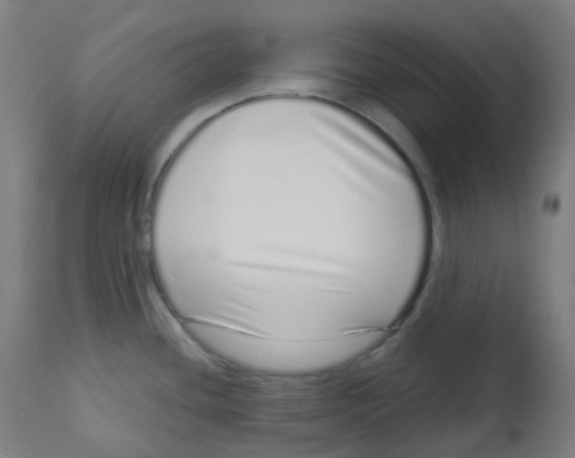 X0000112721436200909171054