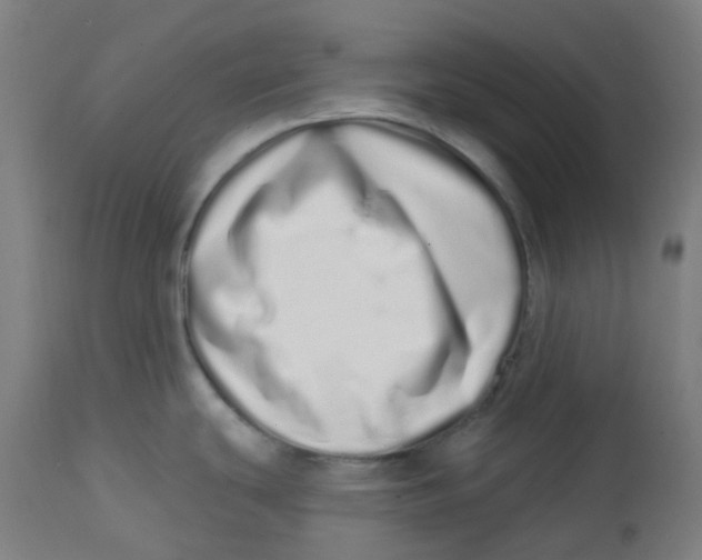 X0000112721439200909171054