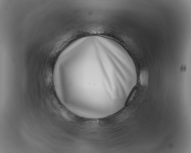 X0000112721444200909171054