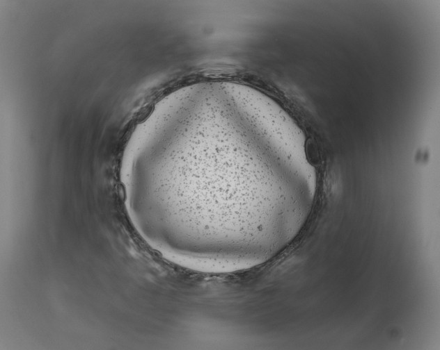 X0000112721445200909171053