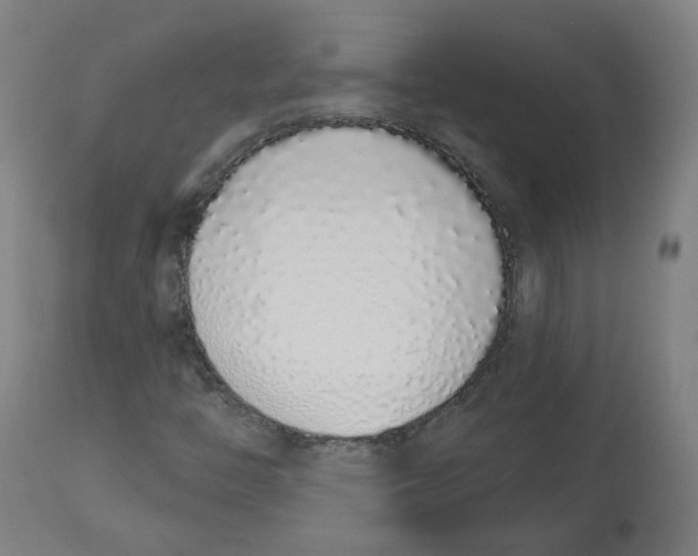 X0000112721446200909171053