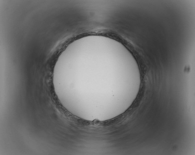 X0000112721447200909171053