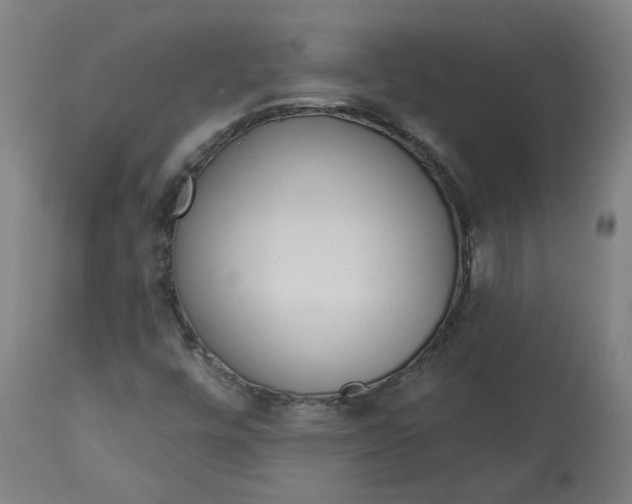 X0000112721448200909171053