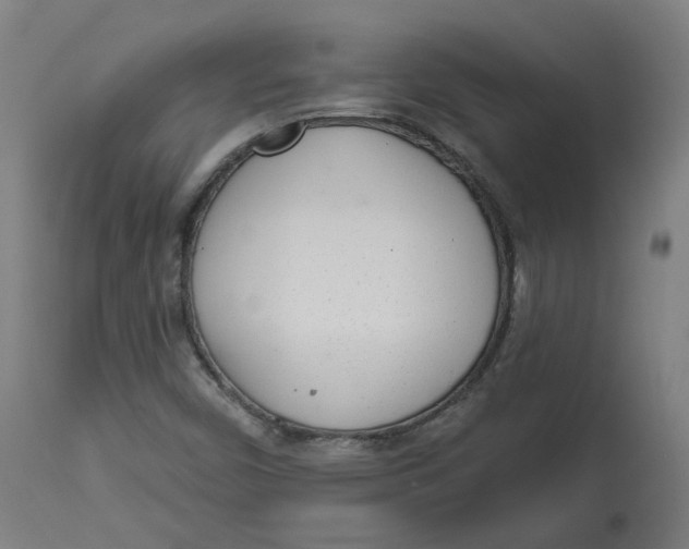 X0000112721450200909171053