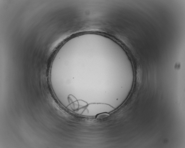 X0000112721452200909171053