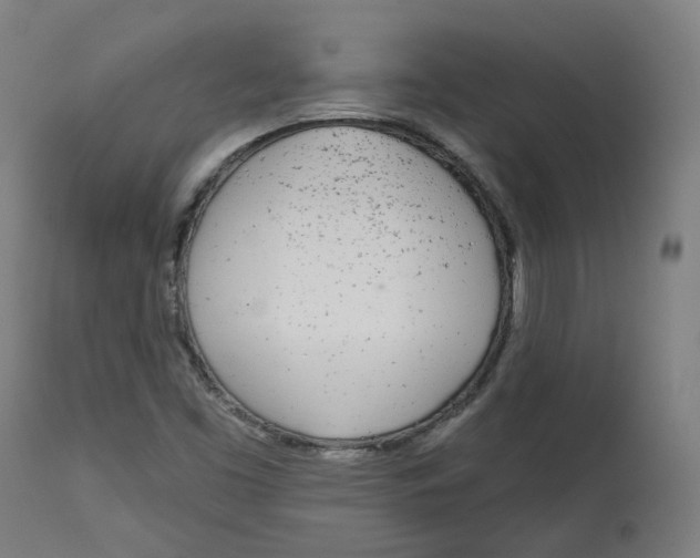 X0000112721453200909171053