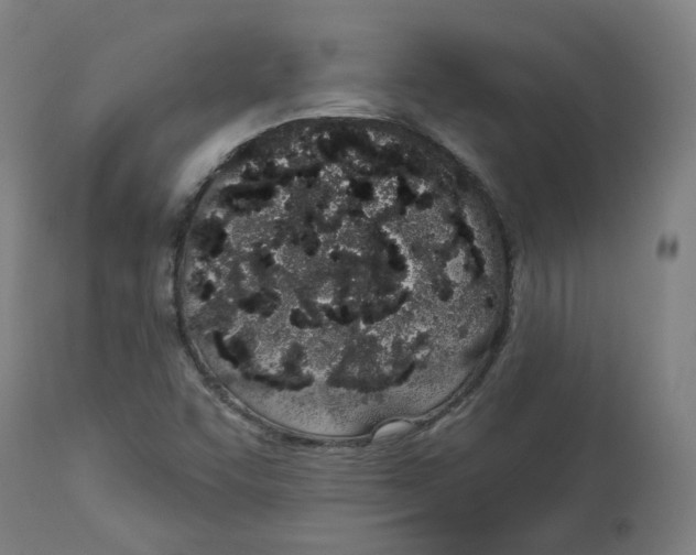 X0000112721455200909171053