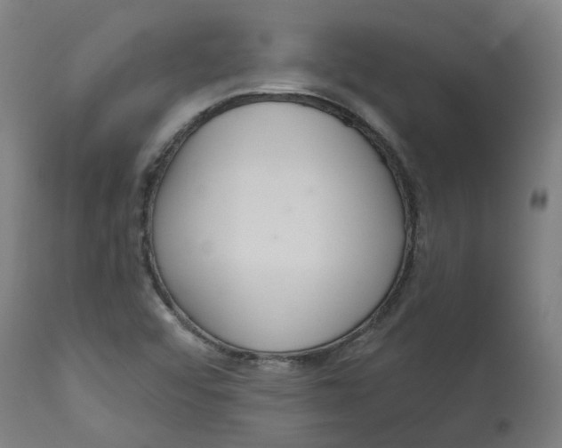 X0000112721456200909171053