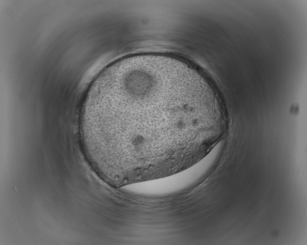 X0000112721459200909171053