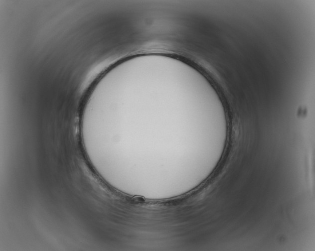 X0000112721461200909171053