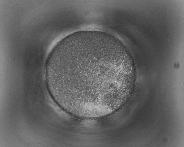 X0000112721462200909171053