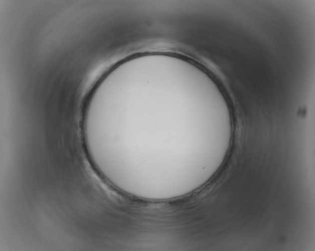 X0000112721464200909171053