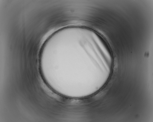 X0000112721467200909171053