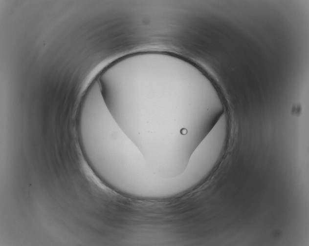 X0000112721468200909171053