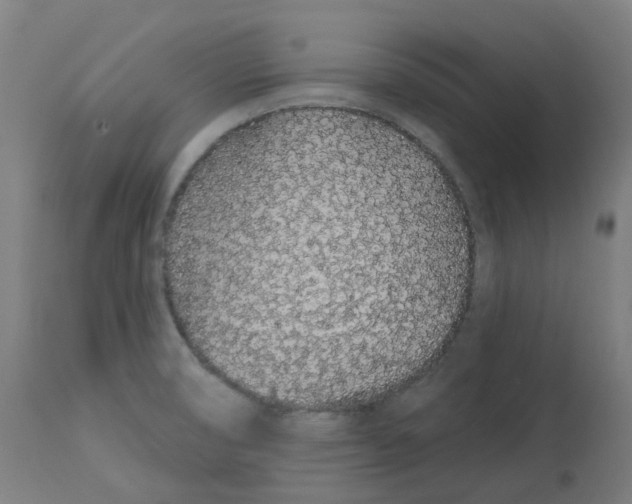 X0000112721474200909171053