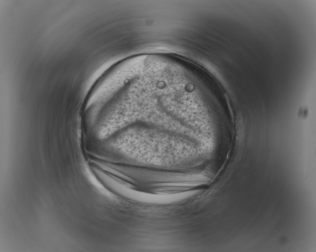 X0000112721476200909171053