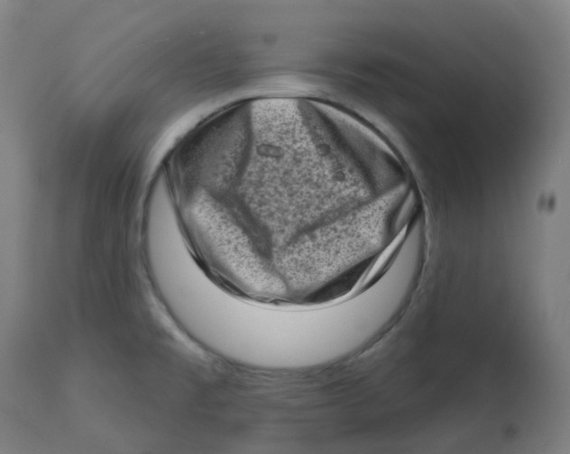 X0000112721477200909171053