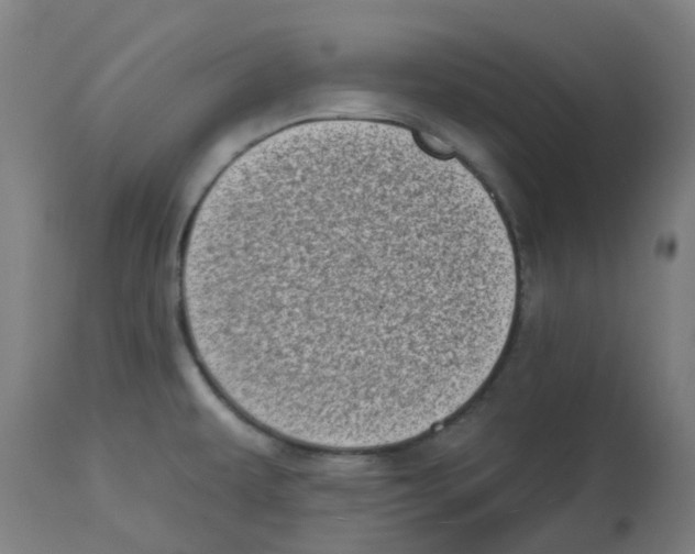 X0000112721479200909171053