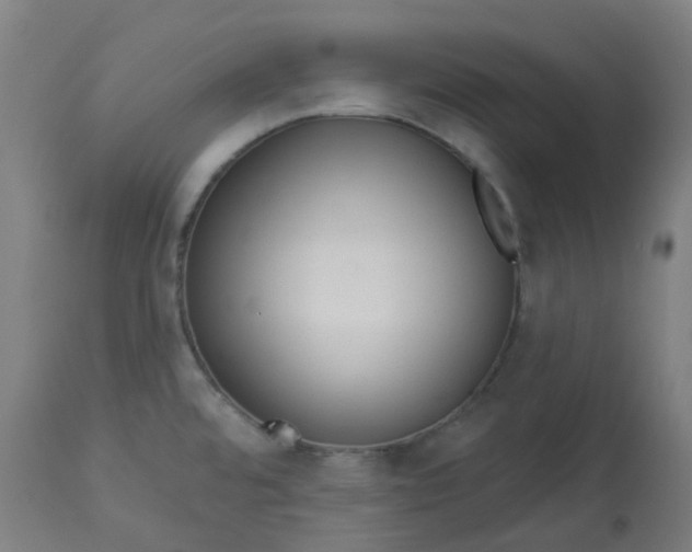 X0000112721480200909171053