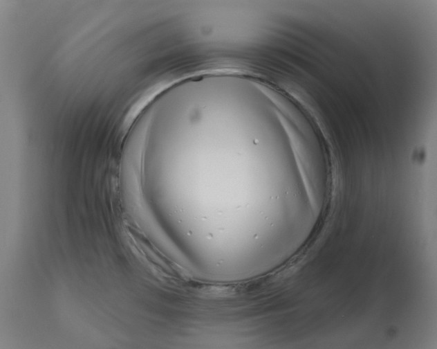 X0000112721481200909171053