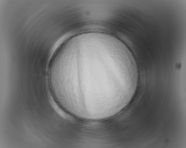 X0000112721482200909171053