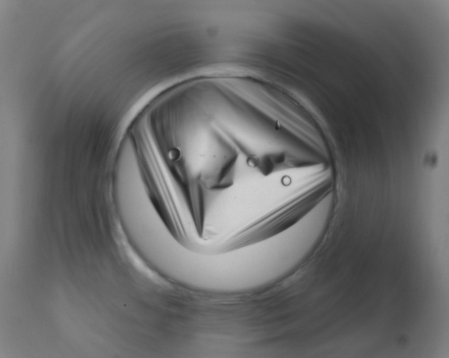 X0000112721484200909171053