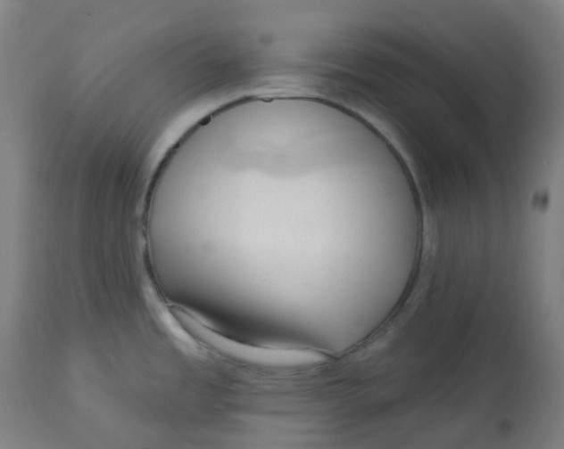 X0000112721485200909171053