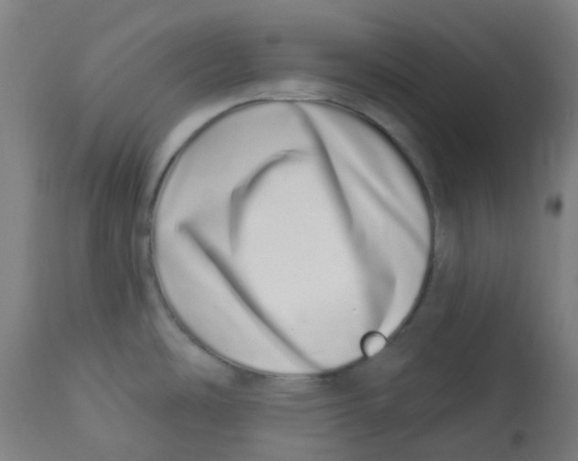 X0000112721486200909171053