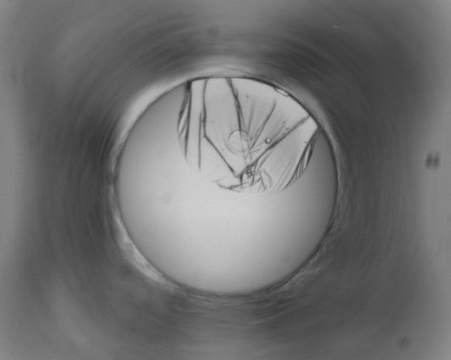 X0000112721488200909171053