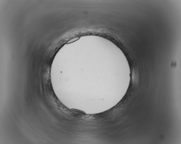 X0000112721492200909171052