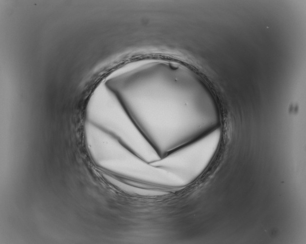 X0000112721494200909171052