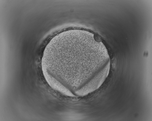 X0000112721495200909171052